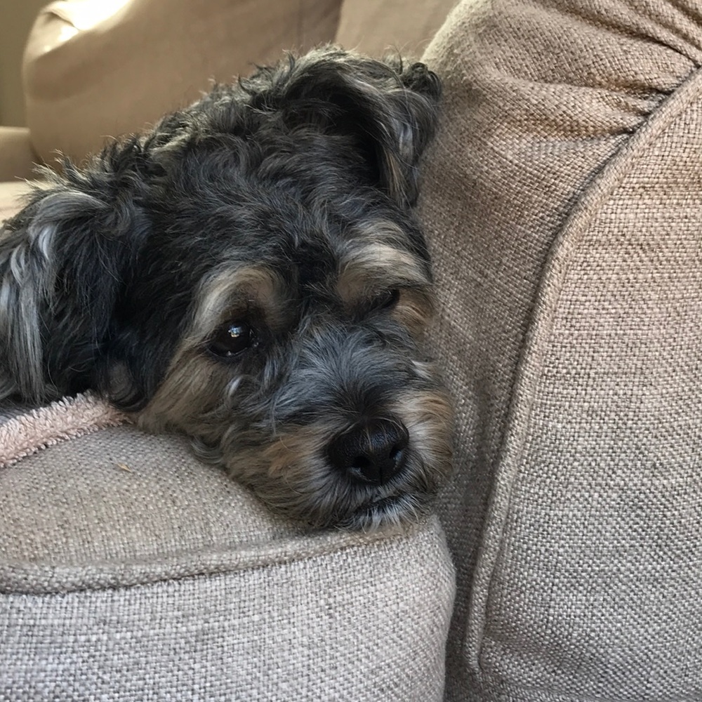 Meet your Posher, Kristine